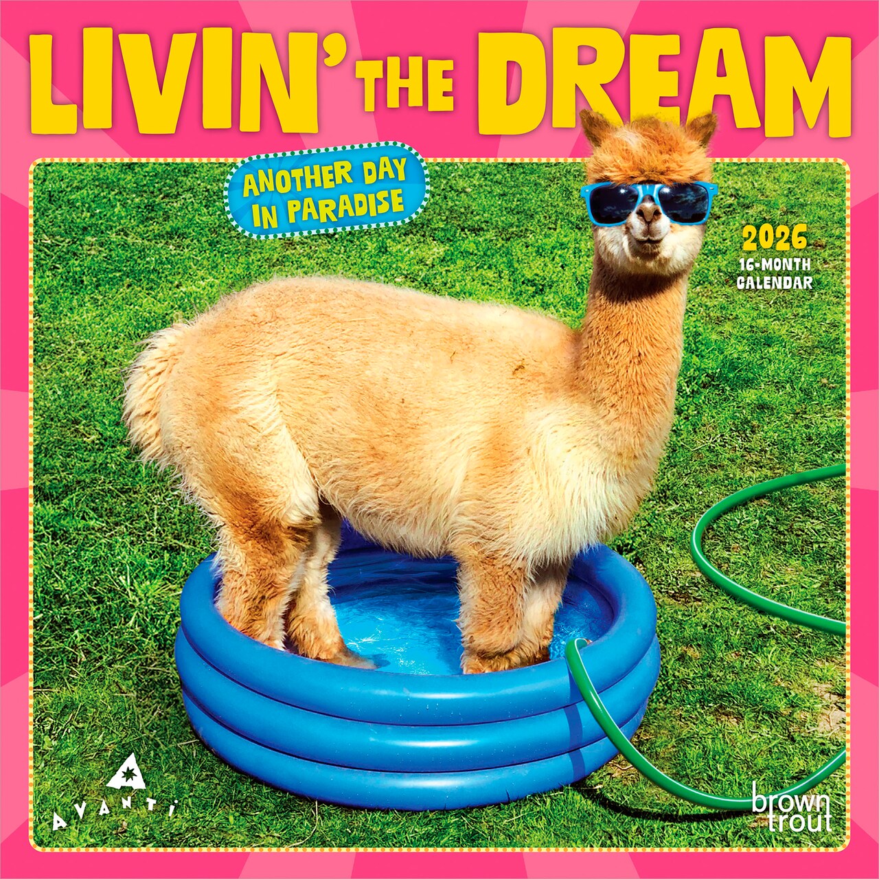 Avanti Livin' the Dream OFFICIAL | 2026 7 x 14 Inch (Hanging) Monthly Mini Wall Calendar